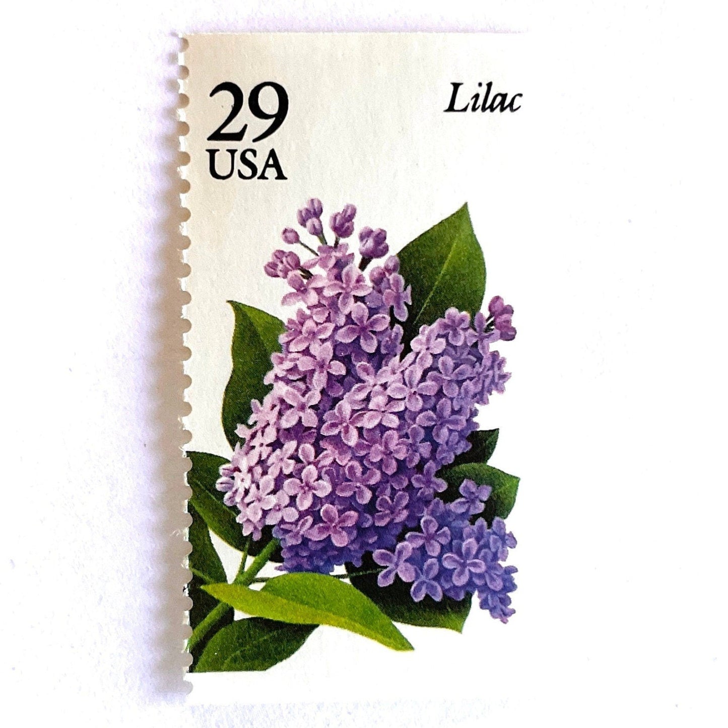 Image of Lilac postage stamps from the Spring Garden Flowers series, featuring purple lilac blossoms with green leaves on vintage 1993 USPS 29-cent postage, Scott 2764.