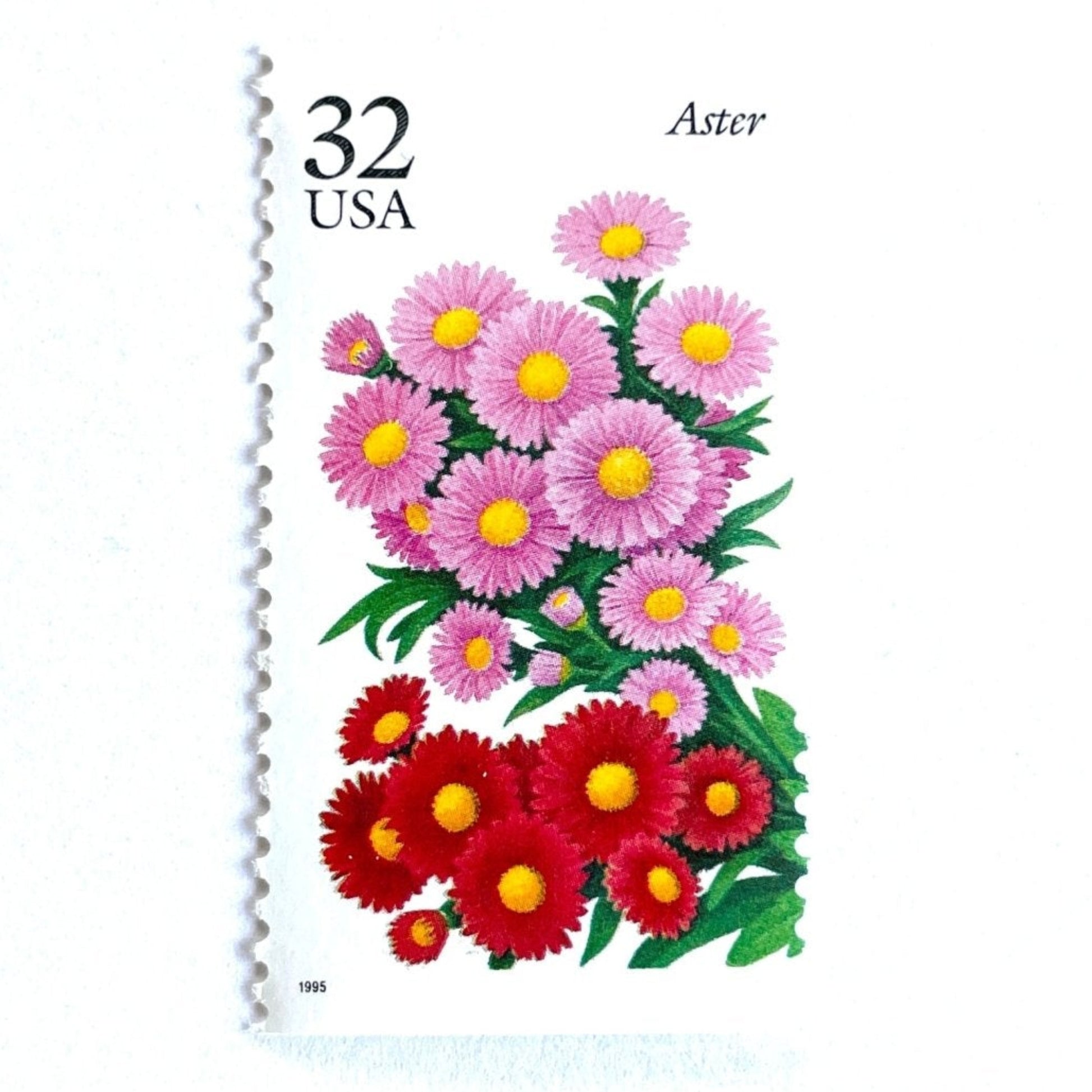 Image of 1995 Garden Flowers series “The Fall Garden: Aster” unused 32-cent vintage USPS mail stamps. Scott #2993. Stamp Themes: Flowers, Floral, Botanical, Fragrant, Gardening, Fall, Autumn, Nature. Pink, Red, Green, Multicolored gummed postage stamp. Perfect postage stamp to use for save the date announcements, wedding invitation postage, bridal shower invitations, birth announcements, thank you cards, valentine’s day, and snail mail.