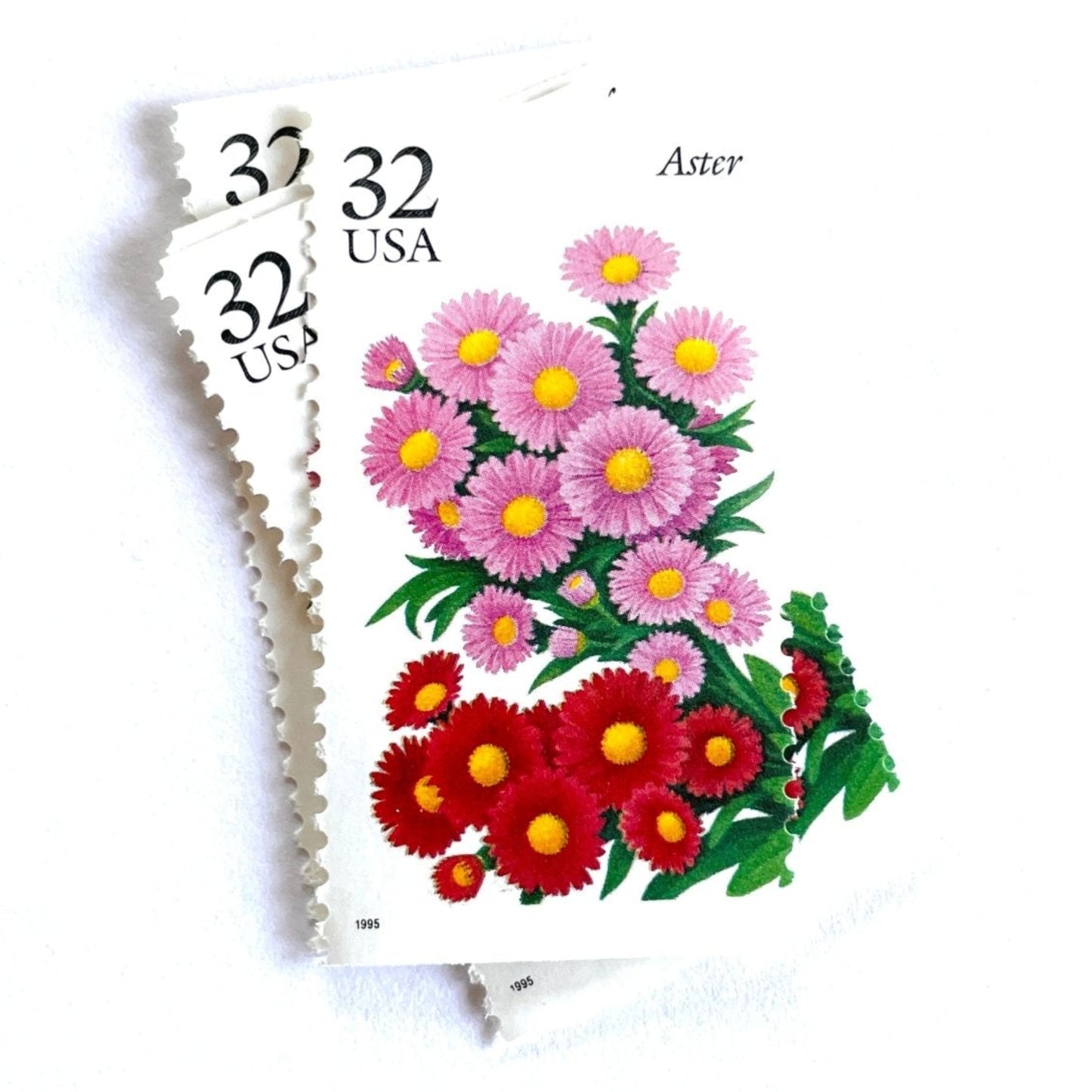 Image of 1995 Garden Flowers series “The Fall Garden: Aster” unused 32-cent vintage USPS mail stamps. Scott #2993. Stamp Themes: Flowers, Floral, Botanical, Fragrant, Gardening, Fall, Autumn, Nature. Pink, Red, Green, Multicolored gummed postage stamp. Perfect postage stamp to use for save the date announcements, wedding invitation postage, bridal shower invitations, birth announcements, thank you cards, valentine’s day, and snail mail.