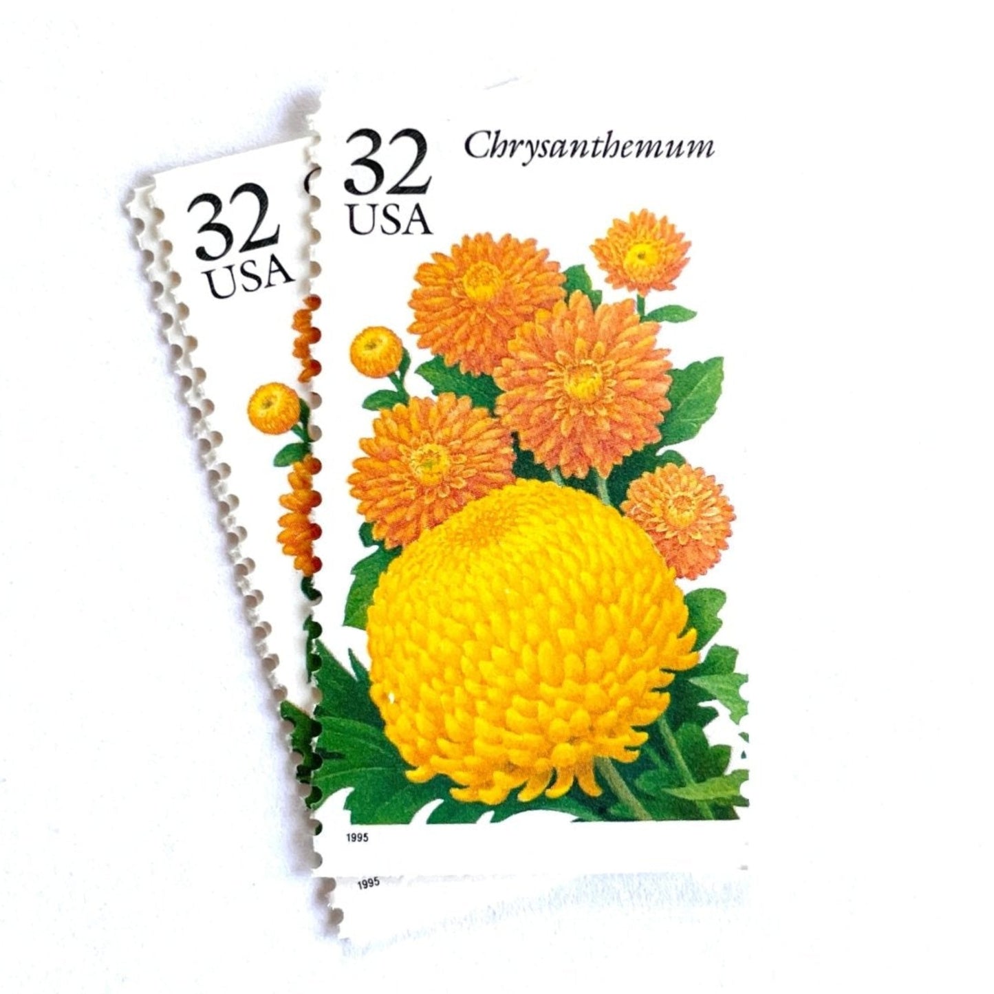 Image of 1994 Garden Flowers series “The Fall Garden: Chrysanthemum” unused 32-cent vintage USPS mail stamps. Scott #2994. Stamp Themes: Flowers, Floral, Botanical, Fragrant, Gardening, Fall, Autumn, Nature. Yellow, Orange Green, Multicolored gummed postage stamp. Perfect postage stamp to use for save the date announcements, wedding invitation postage, bridal shower invitations, birth announcements, thank you cards, valentine’s day, and snail mail.