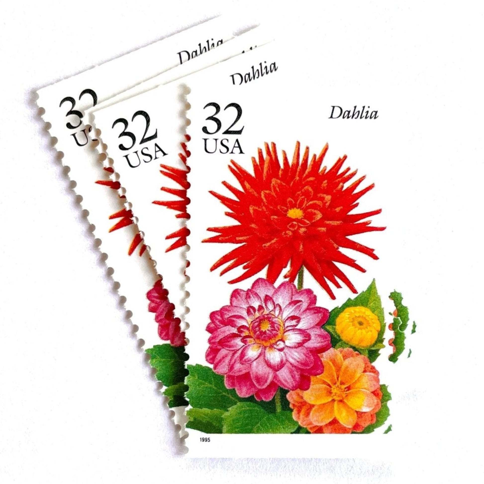 Image of 1995 Garden Flowers series “The Fall Garden: Dahlia” unused 32-cent vintage USPS mail stamps. Scott #2995. Stamp Themes: Flowers, Floral, Botanical, Fragrant, Gardening, Fall, Autumn, Nature, Mexican National Flower. Red, Pink, Yellow, Green, Multicolored gummed postage stamp. Perfect postage stamp to use for save the date announcements, wedding invitation postage, bridal shower invitations, birth announcements, thank you cards, valentine’s day, and snail mail.