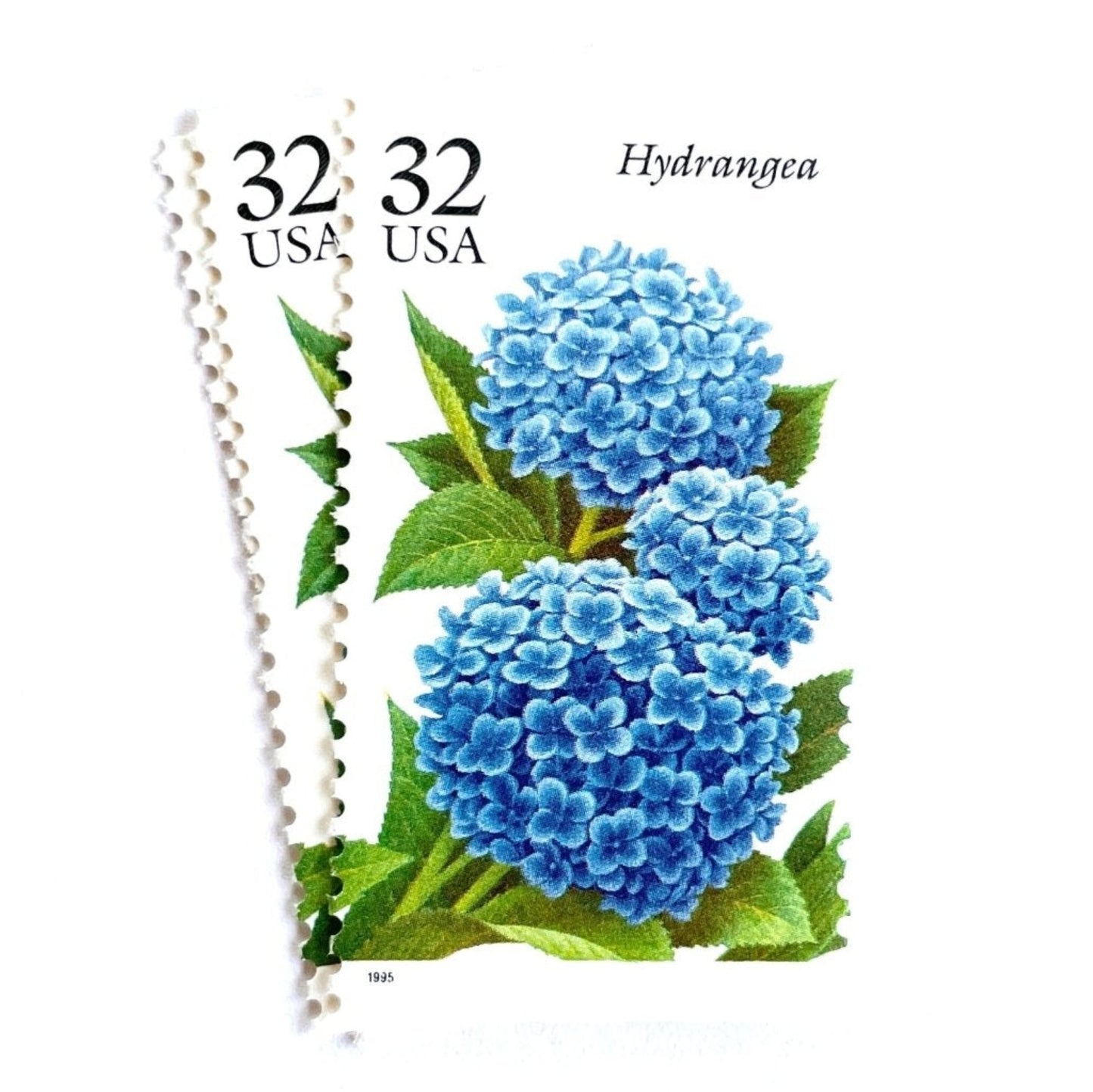 Image of 1995 The Seasonal Garden Series Fall Garden Flowers “Hydrangea” 32-cent vintage unused USPS mail stamps. Scott #2996. Stamp Themes: Flower, Floral, Botanical, Gardening, Nature, Seasons, Fall, Fall Garden Flowers. Blue, Light Blue, Green, Multicolored postage stamp. Perfect vintage postage stamp to use for save the date announcements, wedding invitation postage, shower invitations, thank you cards, and snail mail.
