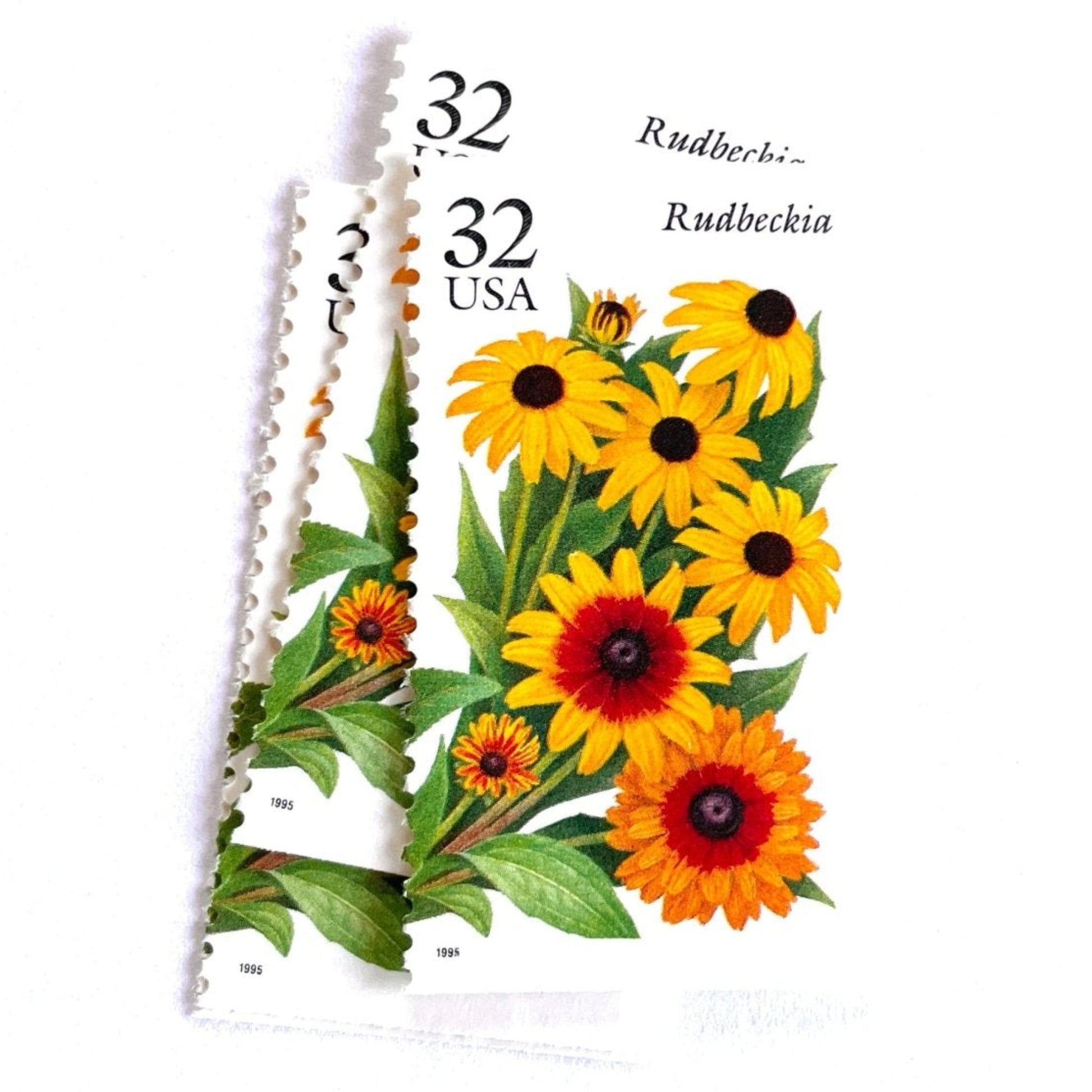Image of 1995 Garden Flowers series “The Fall Garden: Rudbeckia” aka “Black-eyed Susan” unused 32-cent vintage USPS mail stamps. Scott #2997. Stamp Themes: Flowers, Wildflowers, Floral, Botanical, Fragrant. Yellow, Orange, Green, Multicolored gummed postage stamp. Perfect postage stamp to use for save the date announcements, wedding invitation postage, bridal shower invitations, birth announcements, thank you cards, valentine’s day, and snail mail.