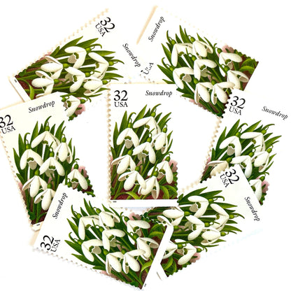 Image of Snowdrop postage stamps from the Winter Garden Flowers series, featuring white winter-blooming flowers with green leaves and brown garden soil on vintage 1996 unused 32-cent USPS postage, Scott 3028.