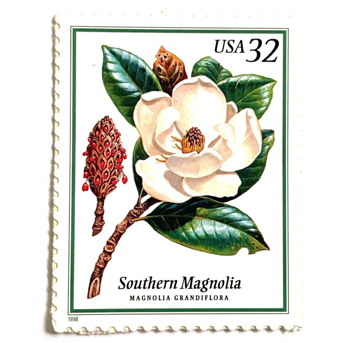 Southern Magnolia postage stamp from 1998 featuring large white magnolia blossoms and green foliage on vintage unused 32-cent USPS postage, Scott 3193.