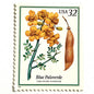 Blue Paloverde postage stamp from 1998 featuring yellow desert blossoms and blue-green branches on vintage unused 32-cent USPS postage, Scott 3194.