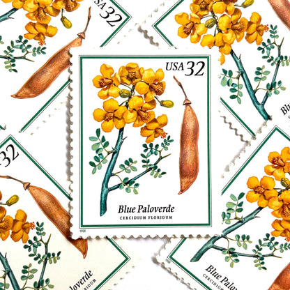 Blue Paloverde postage stamps from 1998 featuring yellow desert blossoms and blue-green branches on vintage unused 32-cent USPS postage, Scott 3194.