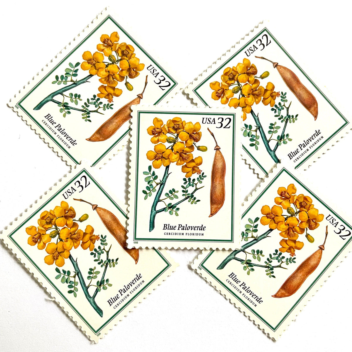 Blue Paloverde postage stamps from 1998 featuring yellow desert blossoms and blue-green branches on vintage unused 32-cent USPS postage, Scott 3194.