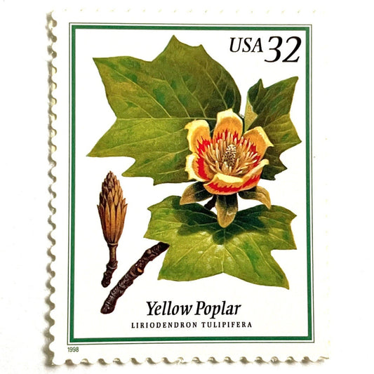 Yellow Poplar postage stamp from 1998 featuring green and yellow tulip-shaped blossoms on vintage unused 32-cent USPS postage, Scott 3195.