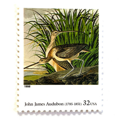 John James Audubon’s “Long-billed Curlew" Postage Stamp from the 1998 Four Centuries of American Art Series. This stamp from famed bird painter, Audubon, depicts a pair of Long-billed Curlew in a wetland marsh. An iconic bird theme, this predominately green postage stamp is often used to mail wedding invitations. These are vintage unused USPS postage stamps with a face value of 32 cents each. Scott number 3236E.