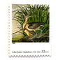 John James Audubon’s “Long-billed Curlew" Postage Stamp from the 1998 Four Centuries of American Art Series. This stamp from famed bird painter, Audubon, depicts a pair of Long-billed Curlew in a wetland marsh. An iconic bird theme, this predominately green postage stamp is often used to mail wedding invitations. These are vintage unused USPS postage stamps with a face value of 32 cents each. Scott number 3236E.