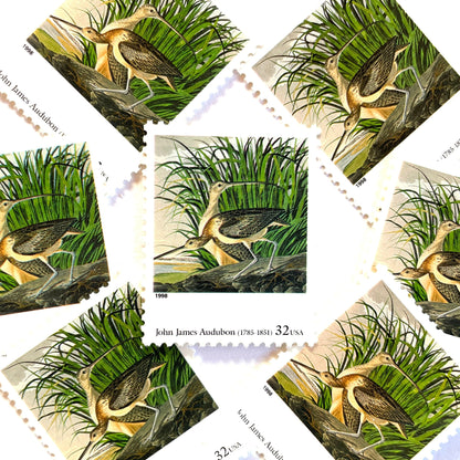John James Audubon’s “Long-billed Curlew" Postage Stamp from the 1998 Four Centuries of American Art Series. This stamp from famed bird painter, Audubon, depicts a pair of Long-billed Curlew in a wetland marsh. An iconic bird theme, this predominately green postage stamp is often used to mail wedding invitations. These are vintage unused USPS postage stamps with a face value of 32 cents each. Scott number 3236E.