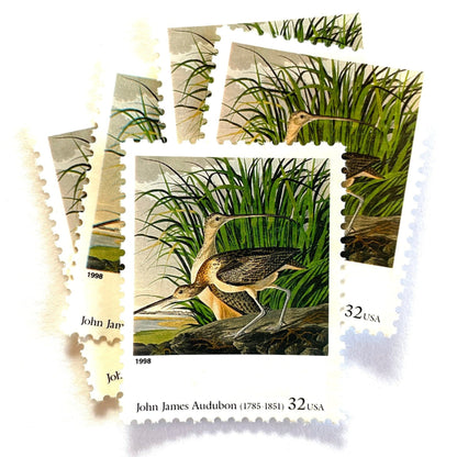 John James Audubon’s “Long-billed Curlew" Postage Stamp from the 1998 Four Centuries of American Art Series. This stamp from famed bird painter, Audubon, depicts a pair of Long-billed Curlew in a wetland marsh. An iconic bird theme, this predominately green postage stamp is often used to mail wedding invitations. These are vintage unused USPS postage stamps with a face value of 32 cents each. Scott number 3236E.