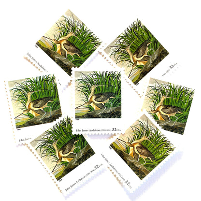 John James Audubon’s “Long-billed Curlew" Postage Stamp from the 1998 Four Centuries of American Art Series. This stamp from famed bird painter, Audubon, depicts a pair of Long-billed Curlew in a wetland marsh. An iconic bird theme, this predominately green postage stamp is often used to mail wedding invitations. These are vintage unused USPS postage stamps with a face value of 32 cents each. Scott number 3236E.