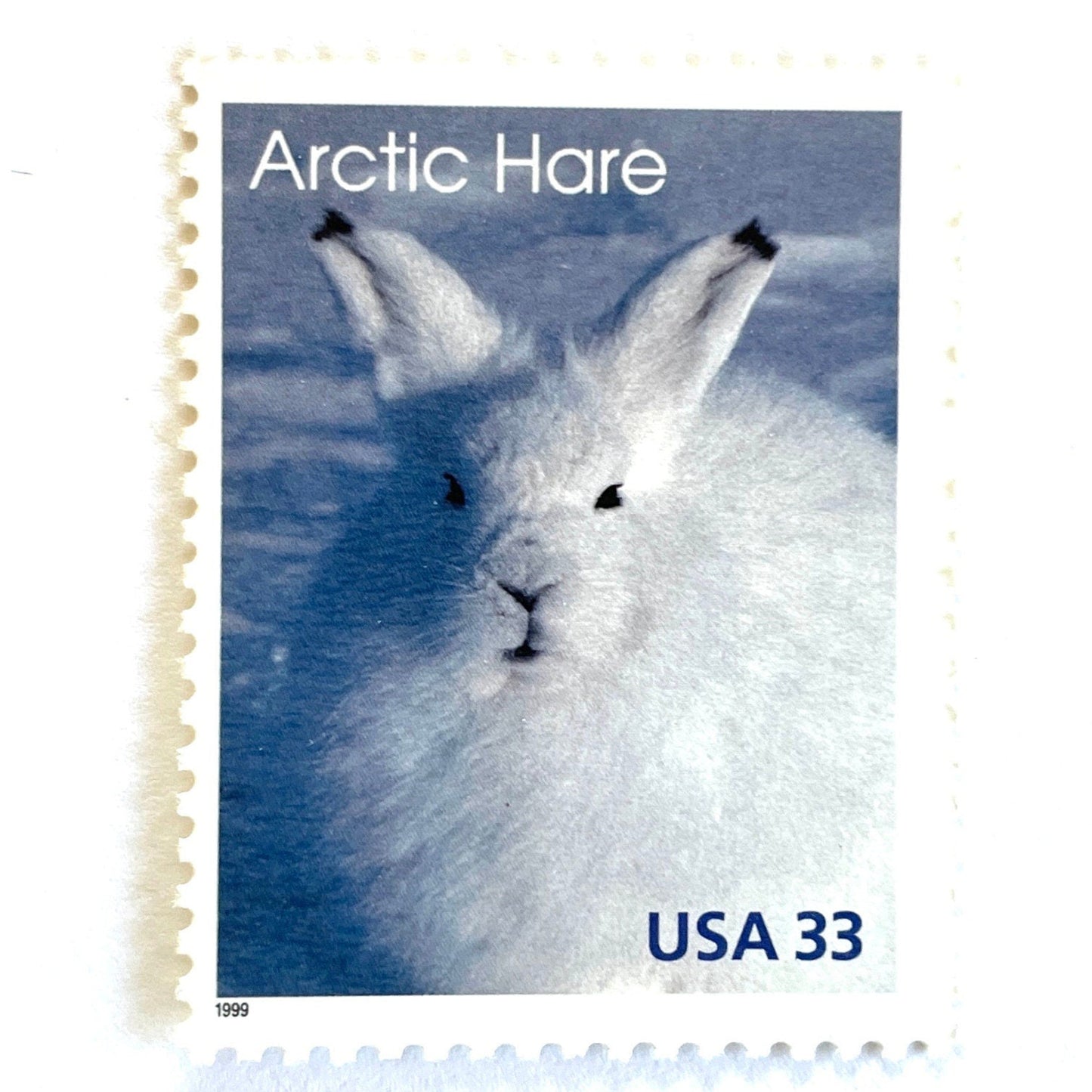 Image of 1999 Arctic Animals “Arctic Hare” 33-cent stamps. Scott #3288. Stamp Themes: Bunny, Rabbit, Snow, Winter, Cold, Wildlife, Alaska. Blue and white postage stamp.
