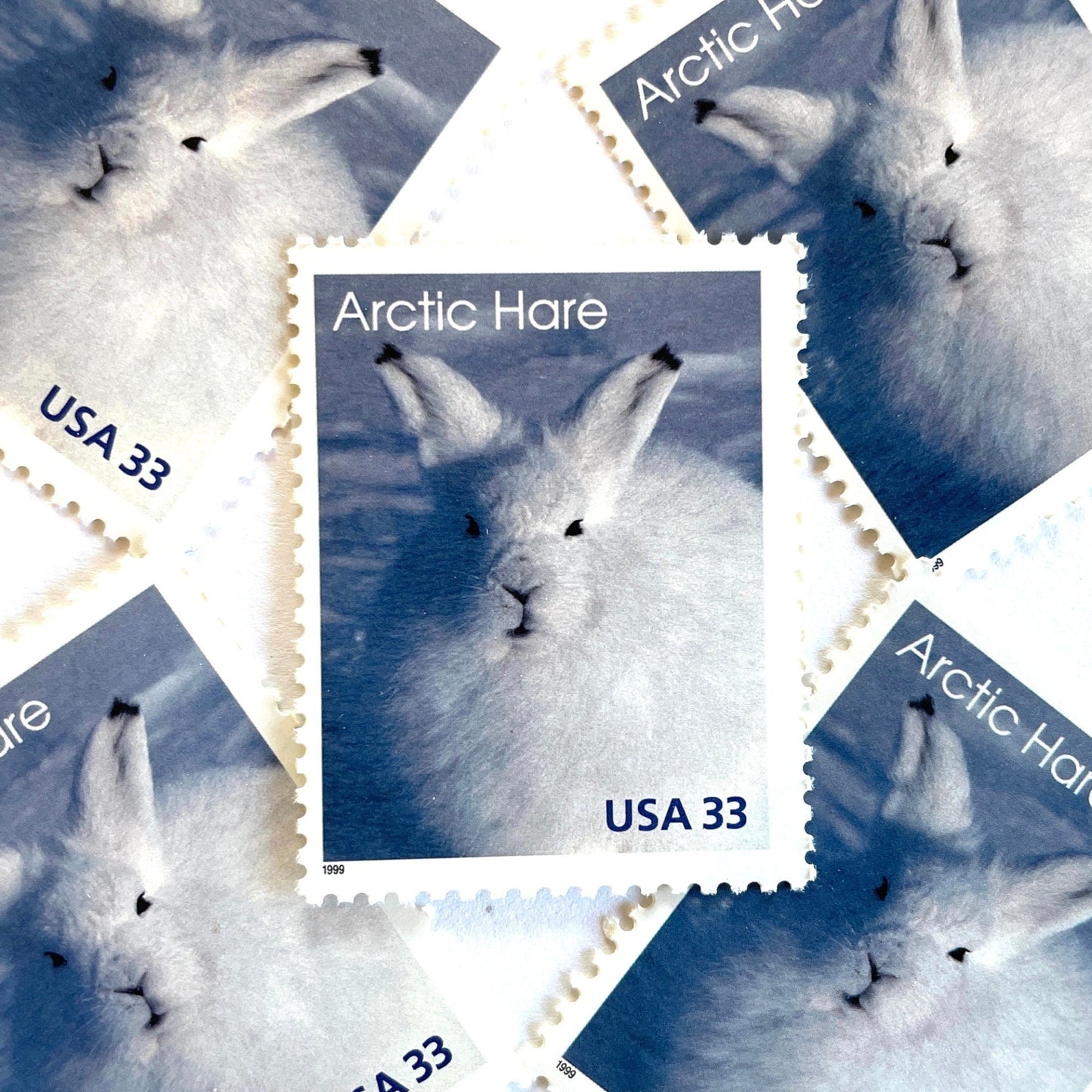 Image of 1999 Arctic Animals “Arctic Hare” 33-cent stamps. Scott #3288. Stamp Themes: Bunny, Rabbit, Snow, Winter, Cold, Wildlife, Alaska. Blue and white postage stamp.
