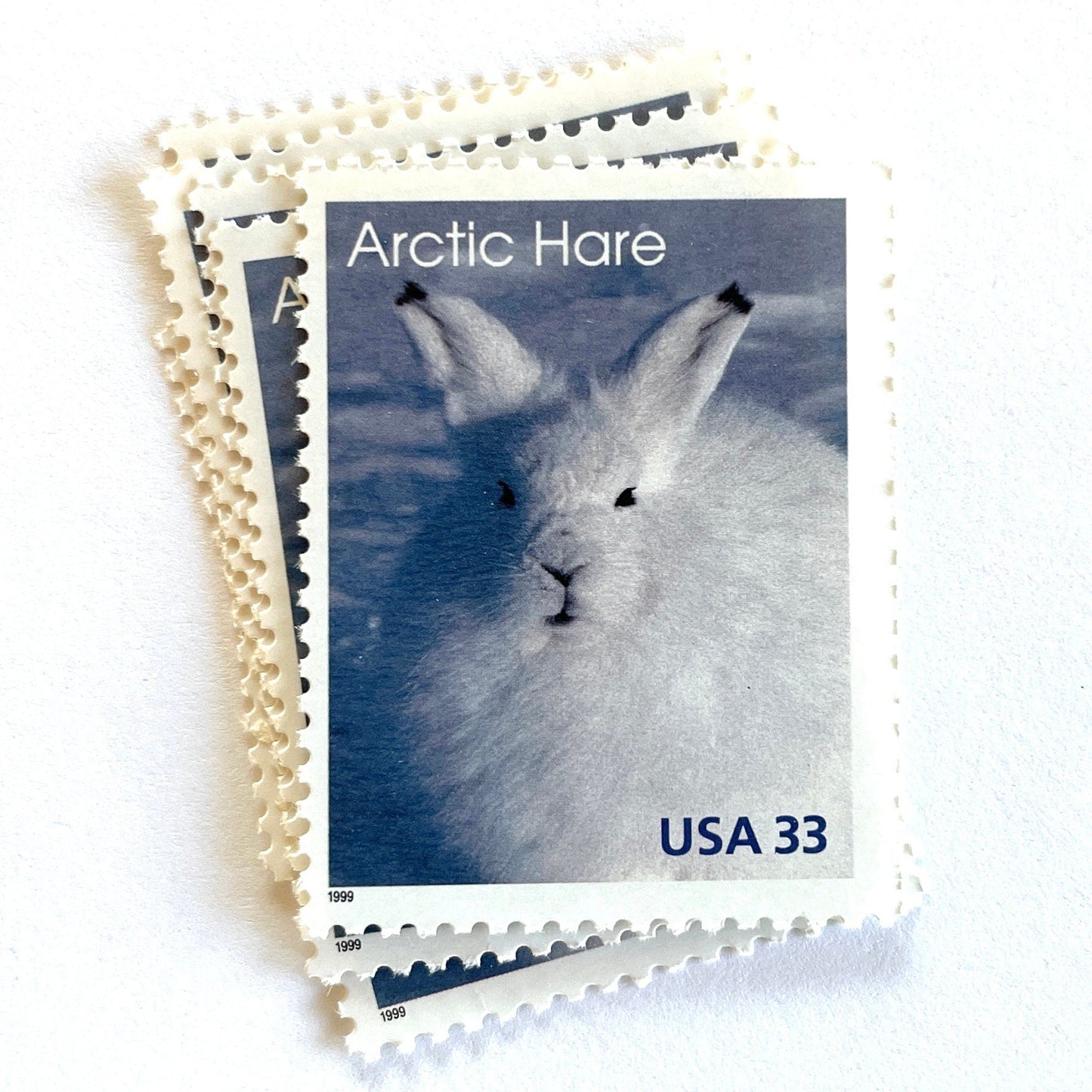 Image of 1999 Arctic Animals “Arctic Hare” 33-cent stamps. Scott #3288. Stamp Themes: Bunny, Rabbit, Snow, Winter, Cold, Wildlife, Alaska. Blue and white postage stamp.