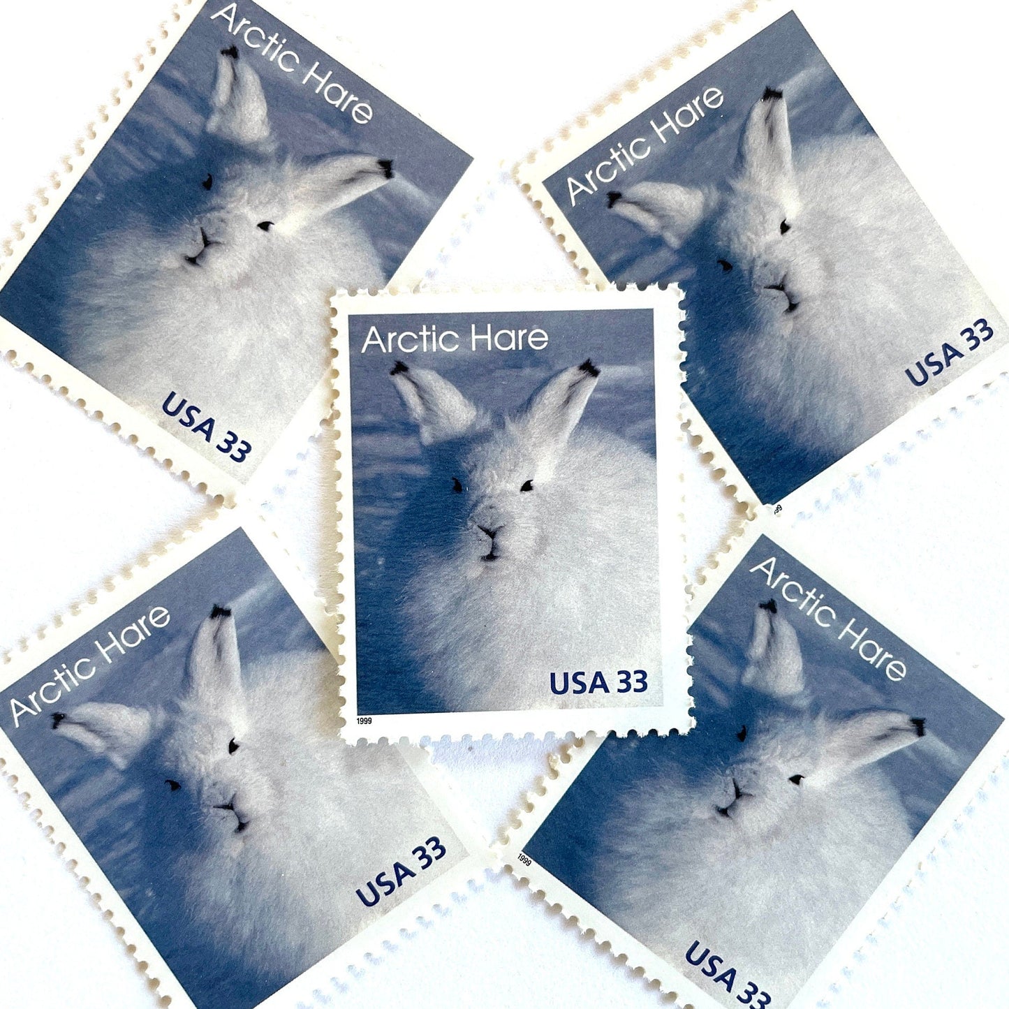 Image of 1999 Arctic Animals “Arctic Hare” 33-cent stamps. Scott #3288. Stamp Themes: Bunny, Rabbit, Snow, Winter, Cold, Wildlife, Alaska. Blue and white postage stamp.