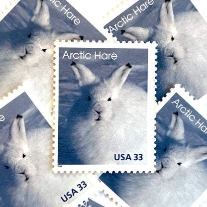 Image of 1999 Arctic Animals “Arctic Hare” 33-cent stamps. Scott #3288. Stamp Themes: Bunny, Rabbit, Snow, Winter, Cold, Wildlife, Alaska. Blue and white postage stamp.
