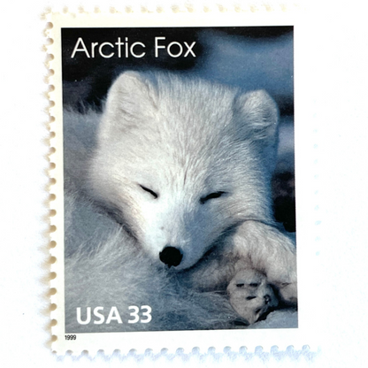 Image of 33-cent Arctic Animals 1993 Arctic Fox USPS postage stamp featuring the face of a young white fox in the snow. Scott #3289. Stamp themes: Animals, Arctic, Winter, Cold Weather, White Fur, Baby Fox, Cute Fox. White postage stamp.