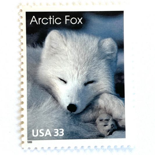Image of 33-cent Arctic Animals 1993 Arctic Fox USPS postage stamp featuring the face of a young white fox in the snow. Scott #3289. Stamp themes: Animals, Arctic, Winter, Cold Weather, White Fur, Baby Fox, Cute Fox. White postage stamp.