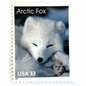 Image of 33-cent Arctic Animals 1993 Arctic Fox USPS postage stamp featuring the face of a young white fox in the snow. Scott #3289. Stamp themes: Animals, Arctic, Winter, Cold Weather, White Fur, Baby Fox, Cute Fox. White postage stamp.