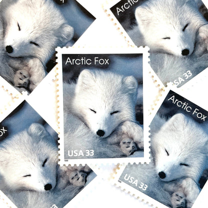 Image of 33-cent Arctic Animals 1993 Arctic Fox USPS postage stamp featuring the face of a young white fox in the snow. Scott #3289. Stamp themes: Animals, Arctic, Winter, Cold Weather, White Fur, Baby Fox, Cute Fox. White postage stamp.