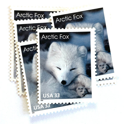 Image of 33-cent Arctic Animals 1993 Arctic Fox USPS postage stamp featuring the face of a young white fox in the snow. Scott #3289. Stamp themes: Animals, Arctic, Winter, Cold Weather, White Fur, Baby Fox, Cute Fox. White postage stamp.