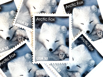 Image of 33-cent Arctic Animals 1993 Arctic Fox USPS postage stamp featuring the face of a young white fox in the snow. Scott #3289. Stamp themes: Animals, Arctic, Winter, Cold Weather, White Fur, Baby Fox, Cute Fox. White postage stamp.