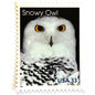 Image of 1999 Arctic Animals “Snowy Owl” 33-cent stamps. Scott #3290. Stamp Themes: Christmas, Owl, Birds of Prey, Snow, Alaska. Black and White postage stamp.