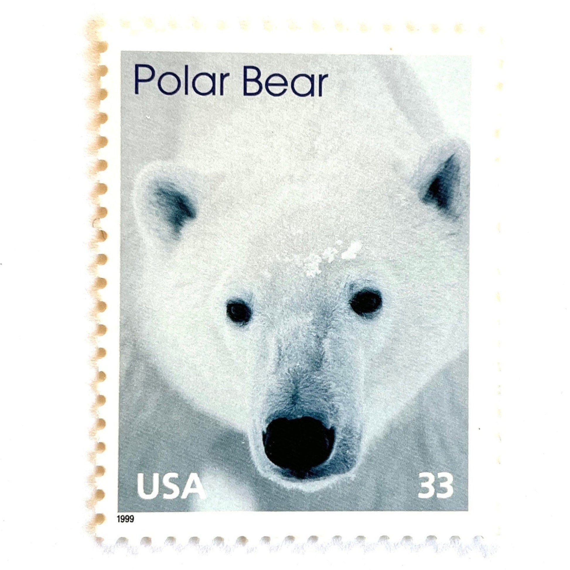 Image of 1999 Arctic Animals “Polar Bear” 33-cent stamps. Scott #3291. Stamp Themes: Winter, Snow, Christmas, Holidays, Wildlife, Alaska. White postage stamp.