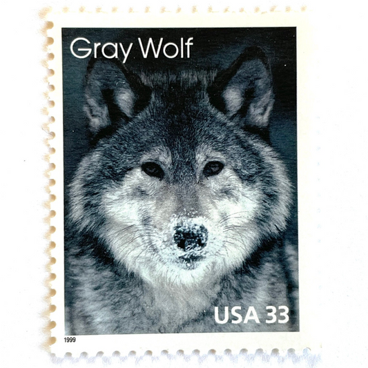 Image of four 33 cent Arctic Animals Series 1999 Gray Wolf stamps. Scott #3292. Stamp themes: Lone Wolf, Winter, Cold, Territorial, Predator, Dog, K9, Fur, Howl, Ecology, Wild, Alaska. Gray or grey postage stamp.