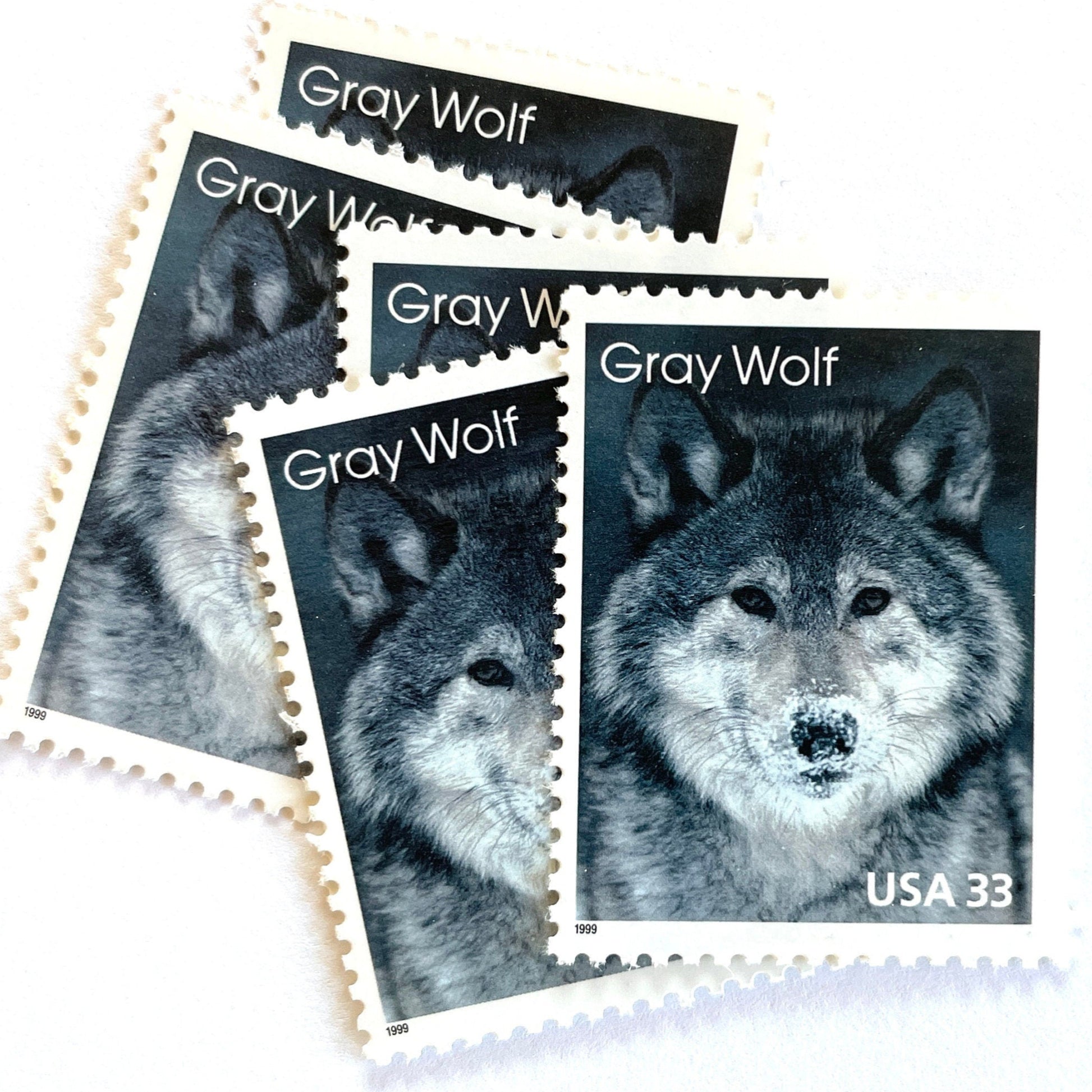 Image of four 33 cent Arctic Animals Series 1999 Gray Wolf stamps. Scott #3292. Stamp themes: Lone Wolf, Winter, Cold, Territorial, Predator, Dog, K9, Fur, Howl, Ecology, Wild, Alaska. Gray or grey postage stamp.