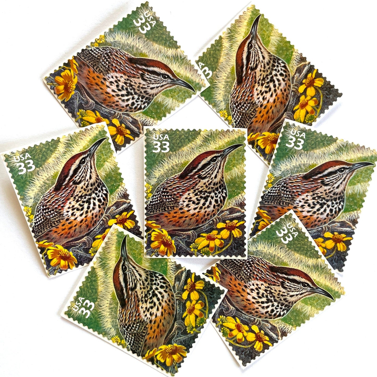 Image of Cactus Wren postage stamps from the 1999 Nature of America Sonoran Desert series, featuring a brown desert bird in a Southwestern landscape on vintage unused 33-cent USPS postage, Scott 3293a.