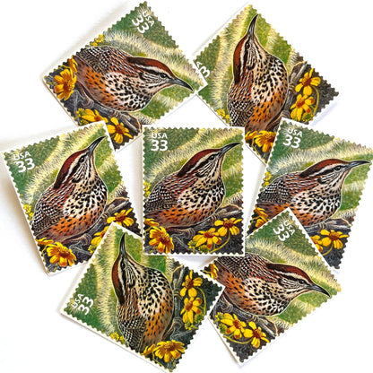 Image of Cactus Wren postage stamps from the 1999 Nature of America Sonoran Desert series, featuring a brown desert bird in a Southwestern landscape on vintage unused 33-cent USPS postage, Scott 3293a.