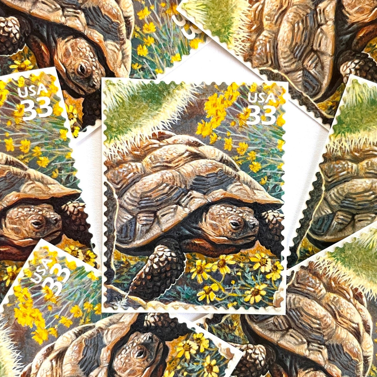 Image of Desert Tortoise postage stamps from the 1999 Nature of America Sonoran Desert issue, featuring a brown desert tortoise set in yellow flowers and cactus in a Southwestern landscape on vintage unused 33-cent USPS postage, Scott 3293b.
