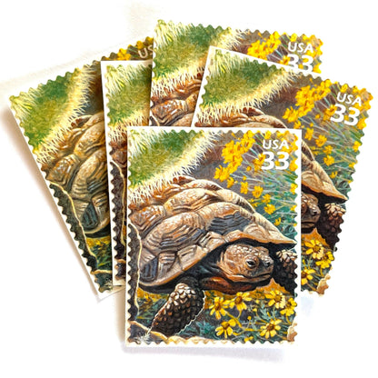 Image of Desert Tortoise postage stamps from the 1999 Nature of America Sonoran Desert issue, featuring a brown desert tortoise set in yellow flowers and cactus in a Southwestern landscape on vintage unused 33-cent USPS postage, Scott 3293b.