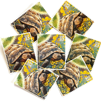 Image of Desert Tortoise postage stamps from the 1999 Nature of America Sonoran Desert issue, featuring a brown desert tortoise set in yellow flowers and cactus in a Southwestern landscape on vintage unused 33-cent USPS postage, Scott 3293b.