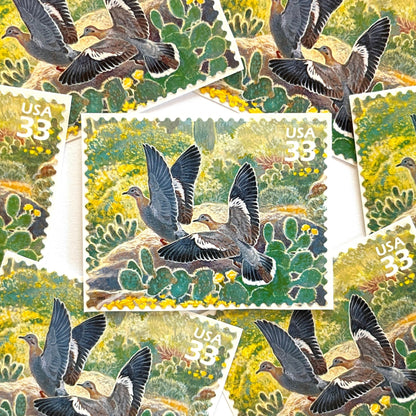 Image of White-winged Dove postage stamps from the 1999 Nature of America Sonoran Desert issue, featuring a gray desert dove in a Southwestern landscape of green cactus and yellow flowers on vintage unused 33-cent USPS postage, Scott 3293c.