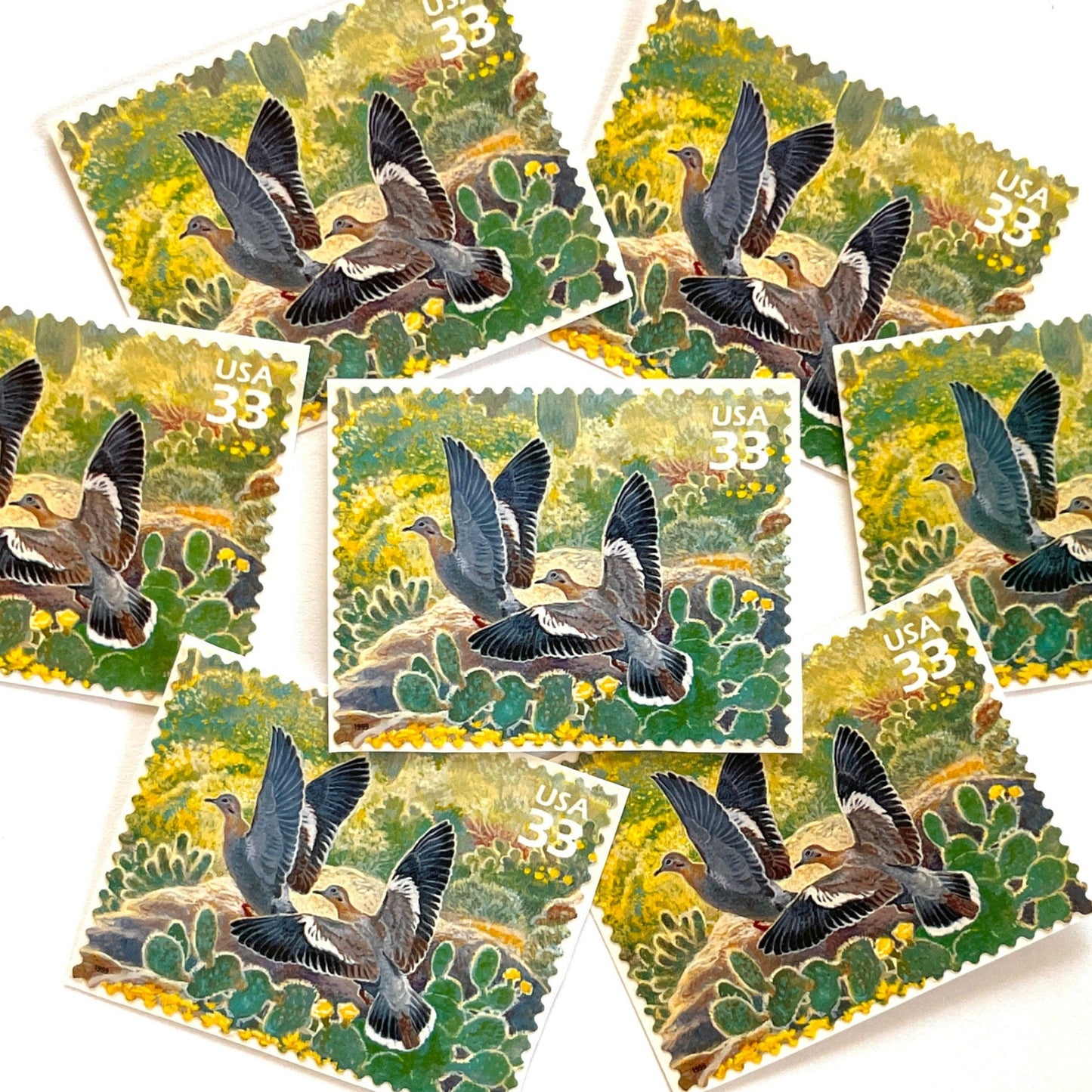 Image of White-winged Dove postage stamps from the 1999 Nature of America Sonoran Desert issue, featuring a gray desert dove in a Southwestern landscape of green cactus and yellow flowers on vintage unused 33-cent USPS postage, Scott 3293c.