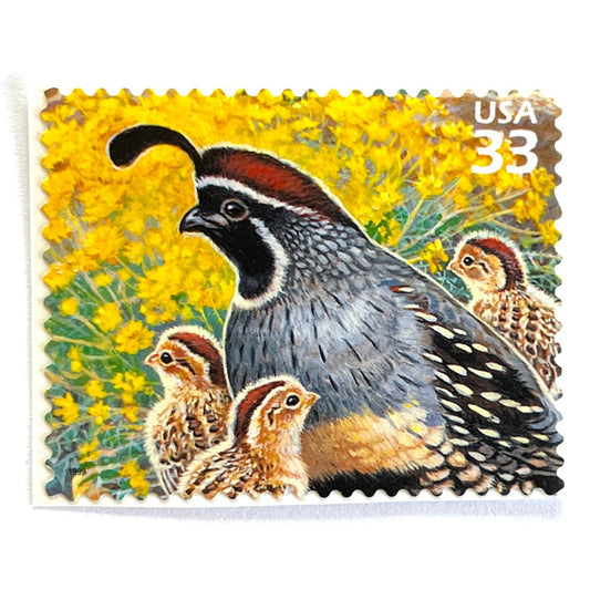 Image of Gambel Quail postage stamps from the 1999 Nature of America Sonoran Desert series, featuring a gray and brown desert bird in a Southwestern landscape on vintage unused 33-cent USPS postage, Scott 3293d.