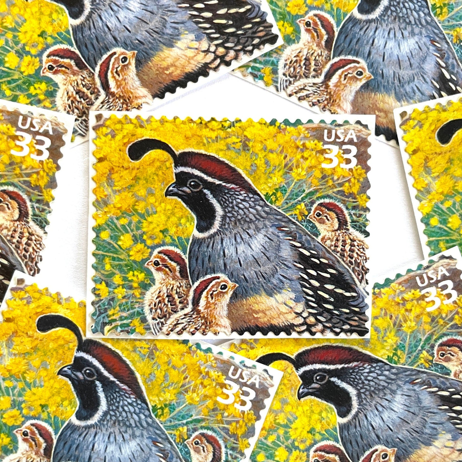 Image of Gambel Quail postage stamps from the 1999 Nature of America Sonoran Desert series, featuring a gray and brown desert bird in a Southwestern landscape on vintage unused 33-cent USPS postage, Scott 3293d.