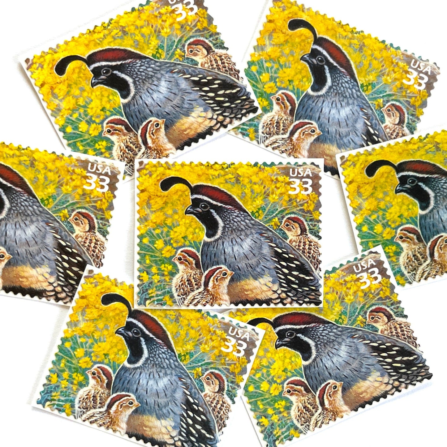 Image of Gambel Quail postage stamps from the 1999 Nature of America Sonoran Desert series, featuring a gray and brown desert bird in a Southwestern landscape on vintage unused 33-cent USPS postage, Scott 3293d.