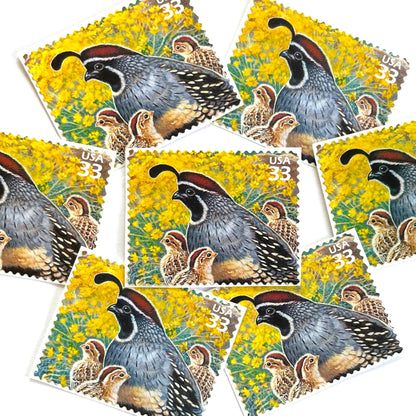 Image of Gambel Quail postage stamps from the 1999 Nature of America Sonoran Desert series, featuring a gray and brown desert bird in a Southwestern landscape on vintage unused 33-cent USPS postage, Scott 3293d.