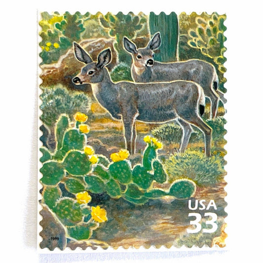 Image of Desert Mule Deer postage stamps from the 1999 Nature of America Sonoran Desert series, featuring brown mule deer standing amongst green cactus with yellow flowers in a Southwestern desert landscape on vintage unused 33-cent USPS postage, Scott 3293f.