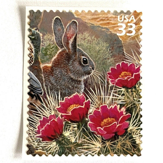 Image of Desert Cottontail rabbit postage stamps from the 1999 Nature of America Sonoran Desert issue, featuring a brown desert bunny perched in pink flowering cactus in a Southwestern landscape scene on vintage unused 33-cent USPS postage, Scott 3293g.