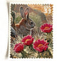 Image of Desert Cottontail rabbit postage stamps from the 1999 Nature of America Sonoran Desert issue, featuring a brown desert bunny perched in pink flowering cactus in a Southwestern landscape scene on vintage unused 33-cent USPS postage, Scott 3293g.