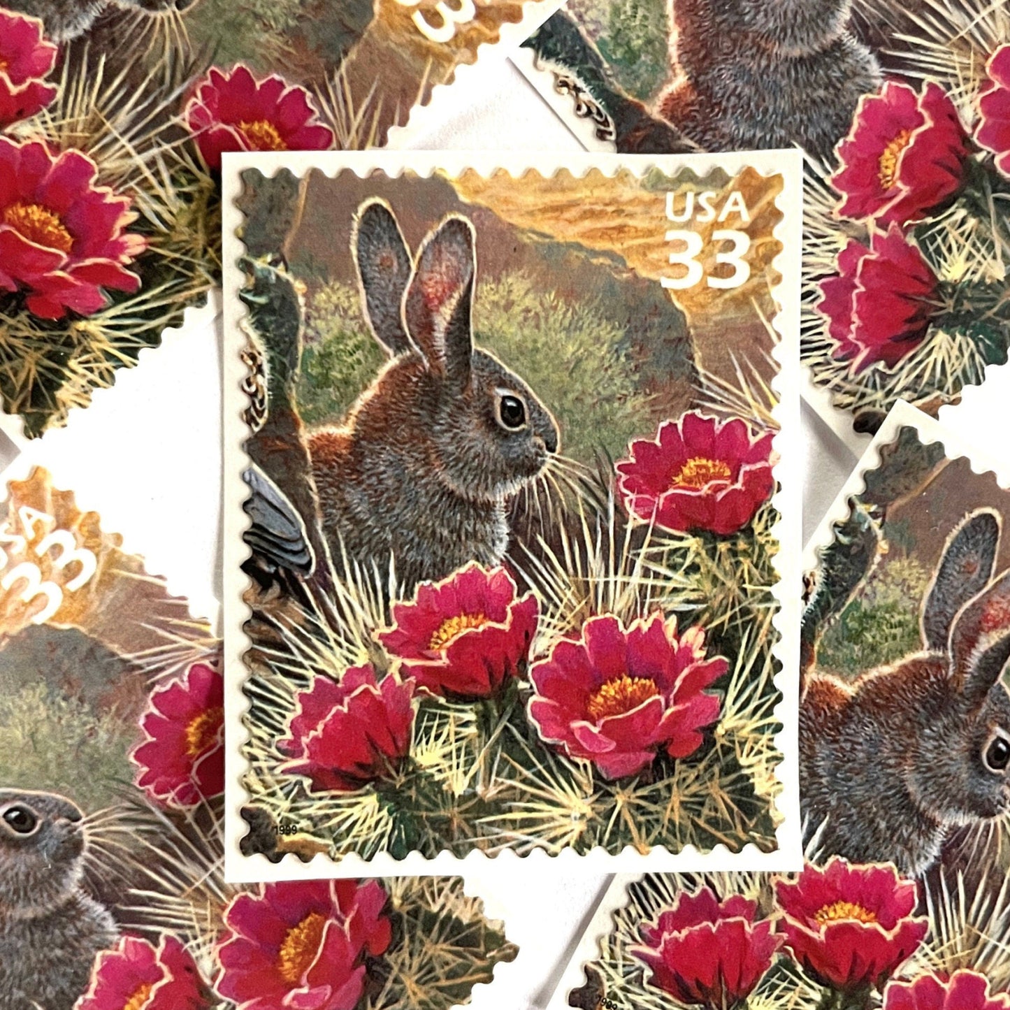 Image of Desert Cottontail rabbit postage stamps from the 1999 Nature of America Sonoran Desert issue, featuring a brown desert bunny perched in pink flowering cactus in a Southwestern landscape scene on vintage unused 33-cent USPS postage, Scott 3293g.