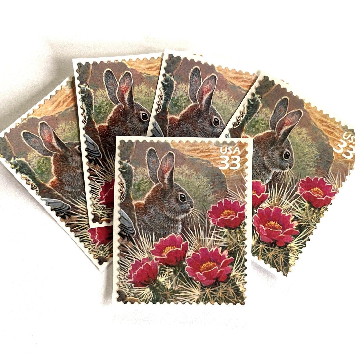Image of Desert Cottontail rabbit postage stamps from the 1999 Nature of America Sonoran Desert issue, featuring a brown desert bunny perched in pink flowering cactus in a Southwestern landscape scene on vintage unused 33-cent USPS postage, Scott 3293g.