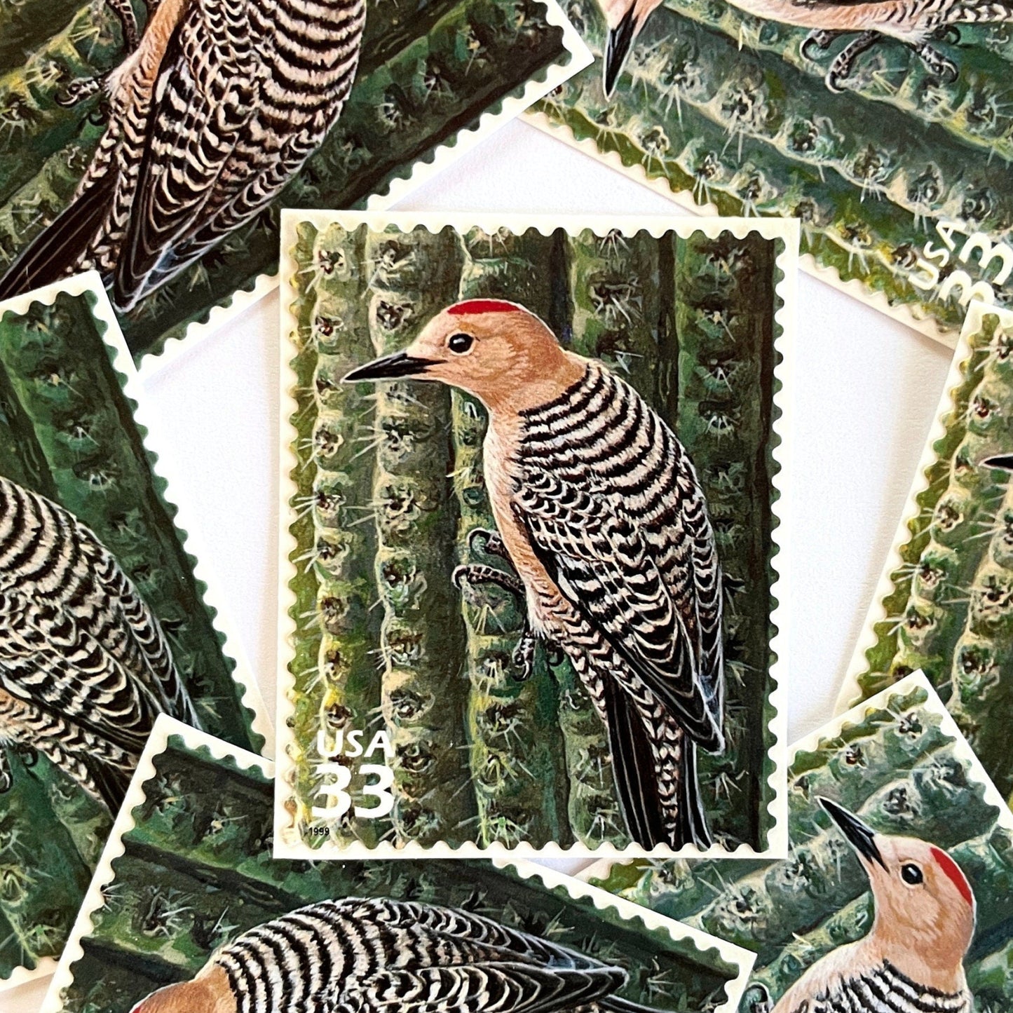 Image of Gila Woodpecker postage stamps from the 1999 Nature of America Sonoran Desert issue, featuring a brown desert bird perched on a cactus in a Southwestern landscape on vintage unused 33-cent USPS postage, Scott 3293j.